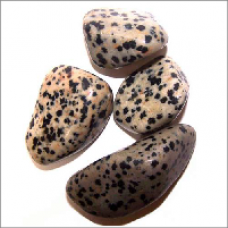 Dalmation Stone